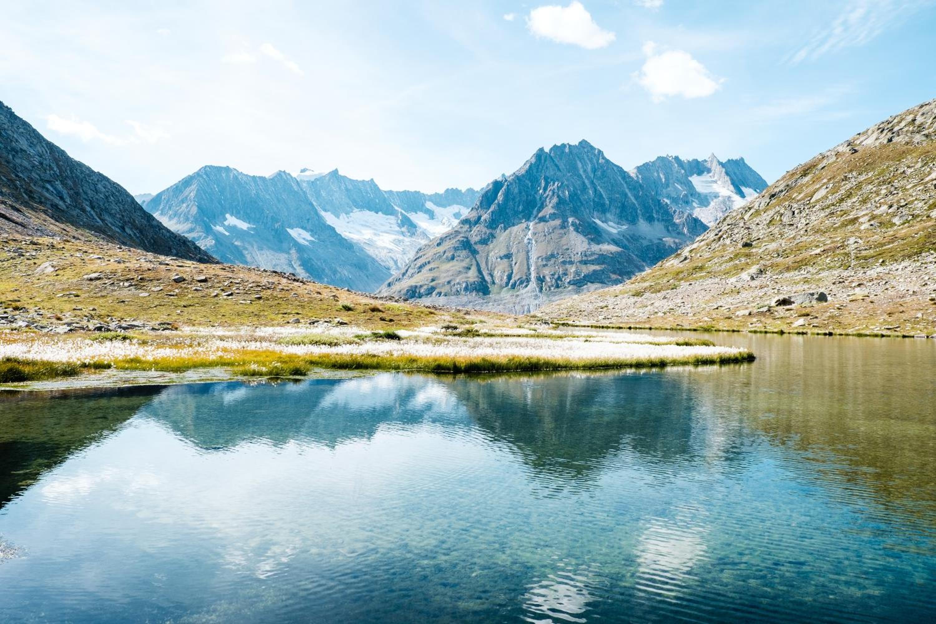 3.5-Zimmer FeWo Primeli Fieschertal