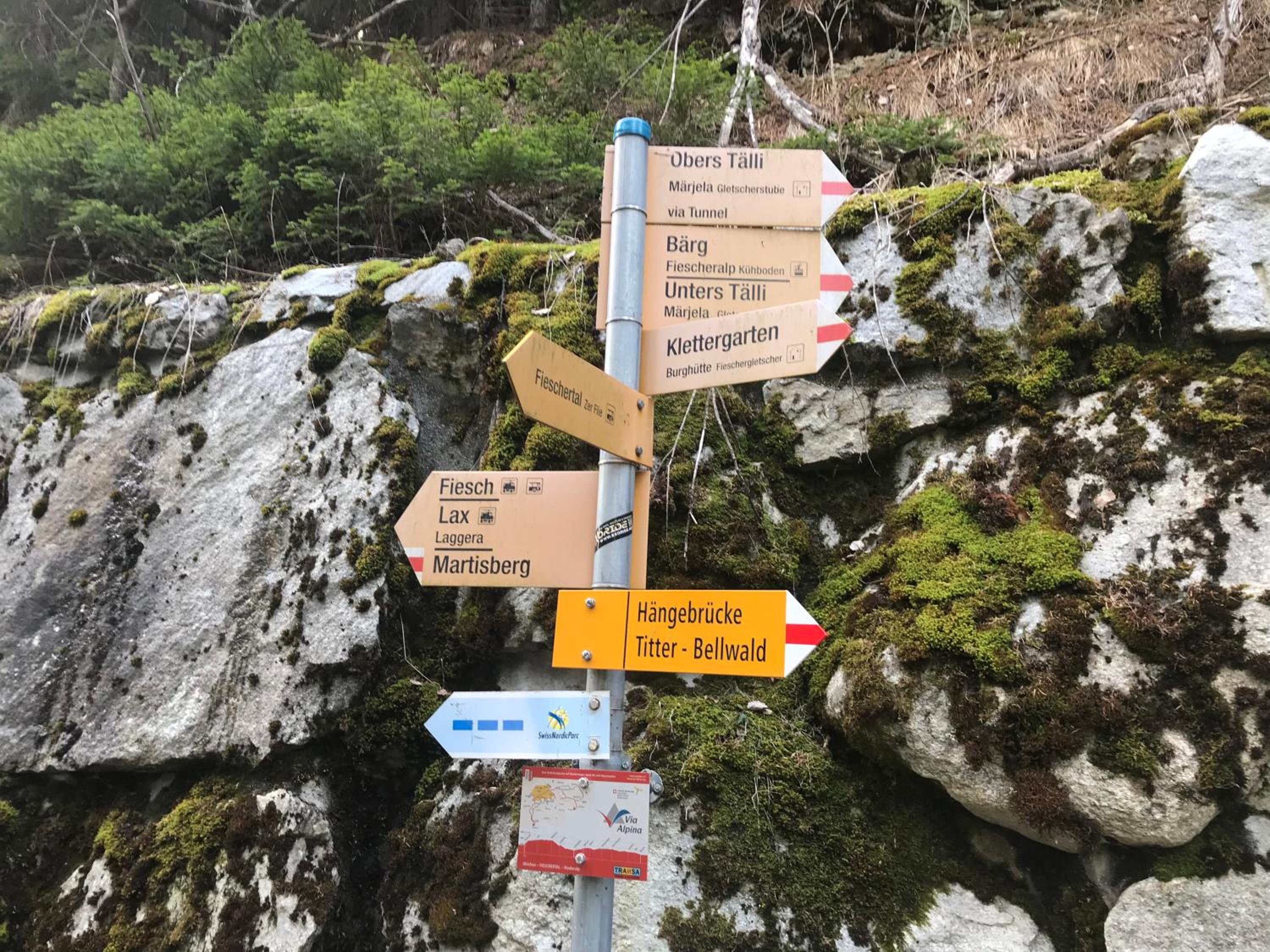 3.5-Zimmer FeWo Primeli Fieschertal