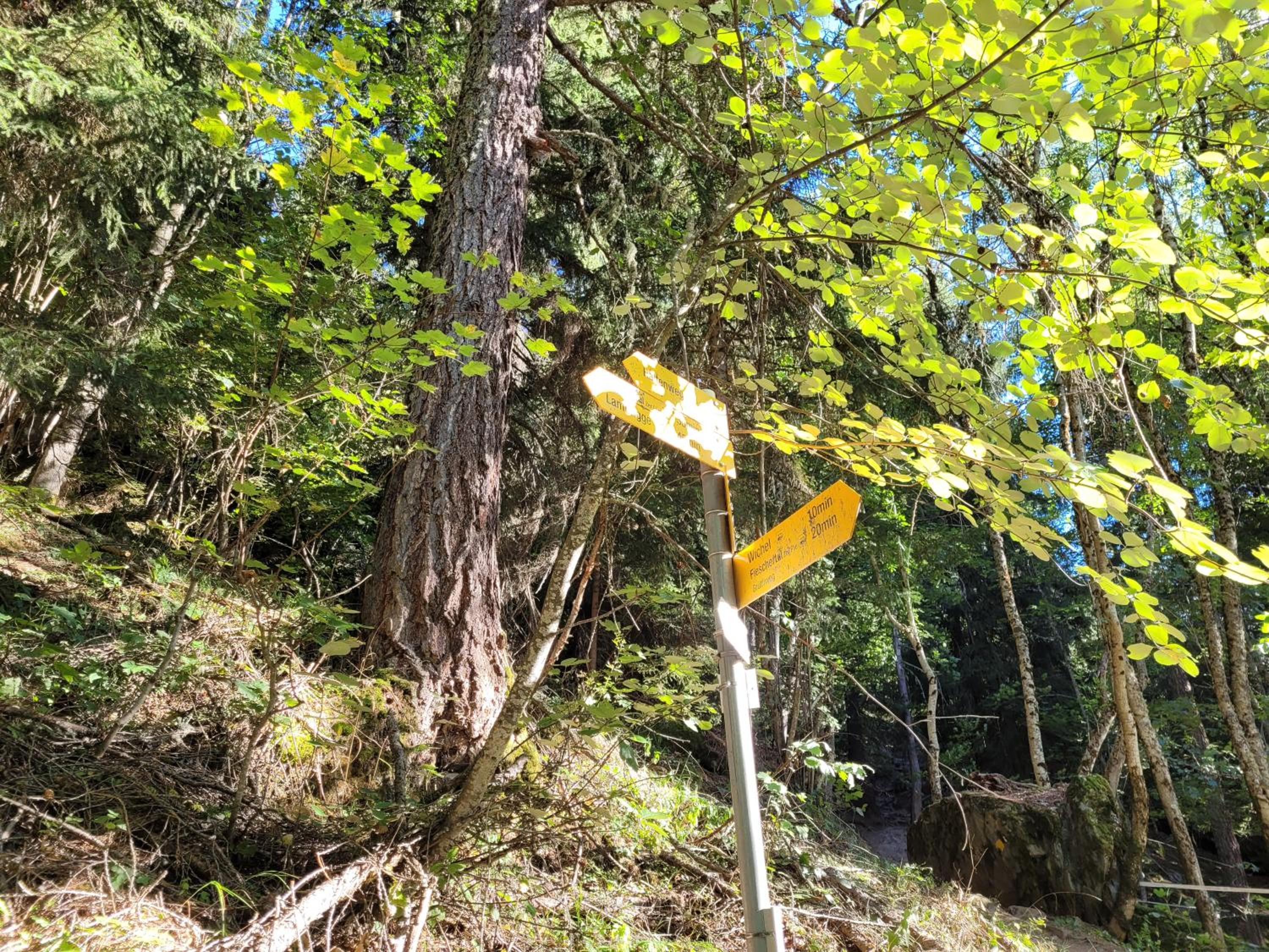 3.5-Zimmer FeWo Primeli Fieschertal
