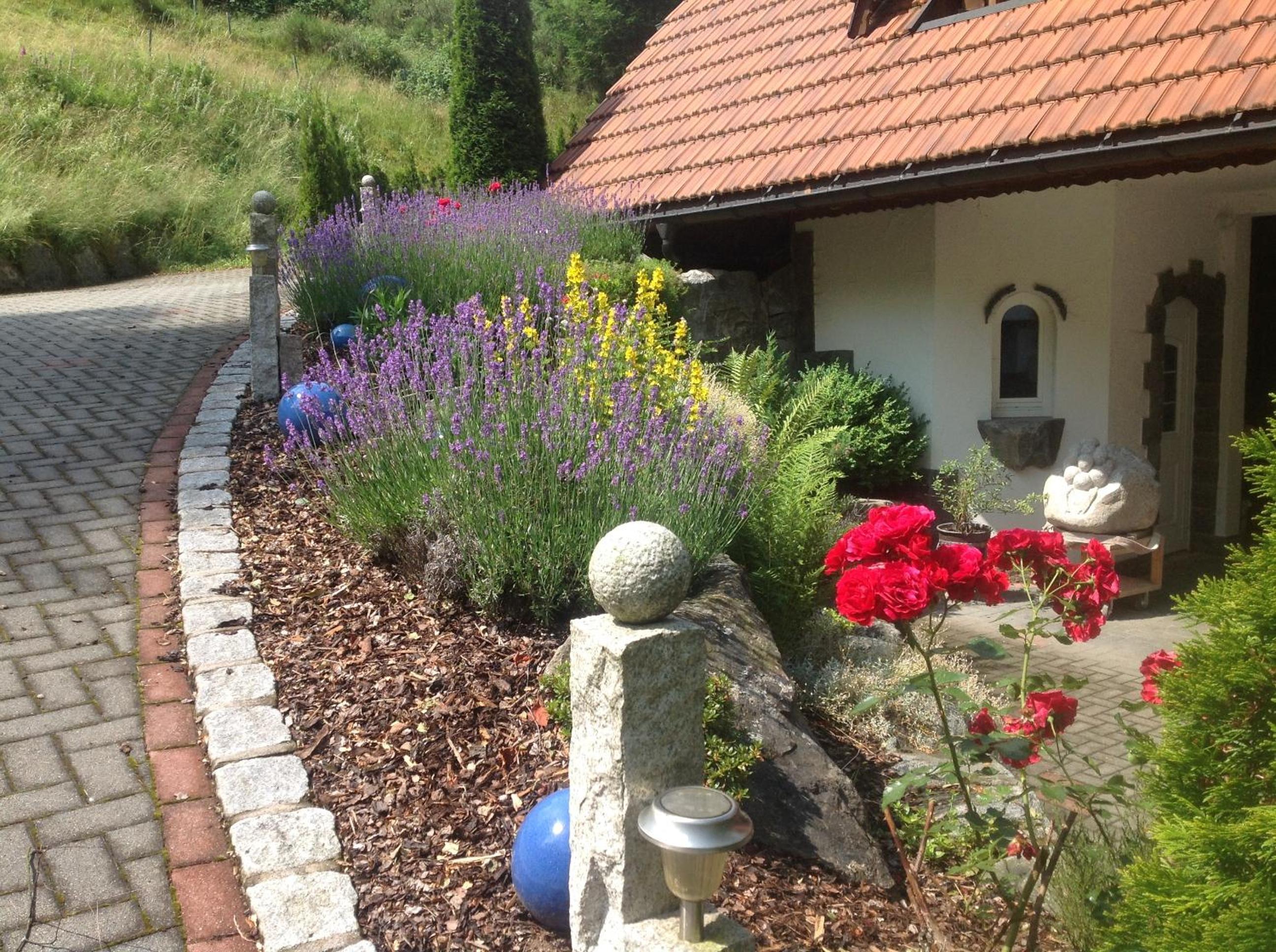 Photo 23