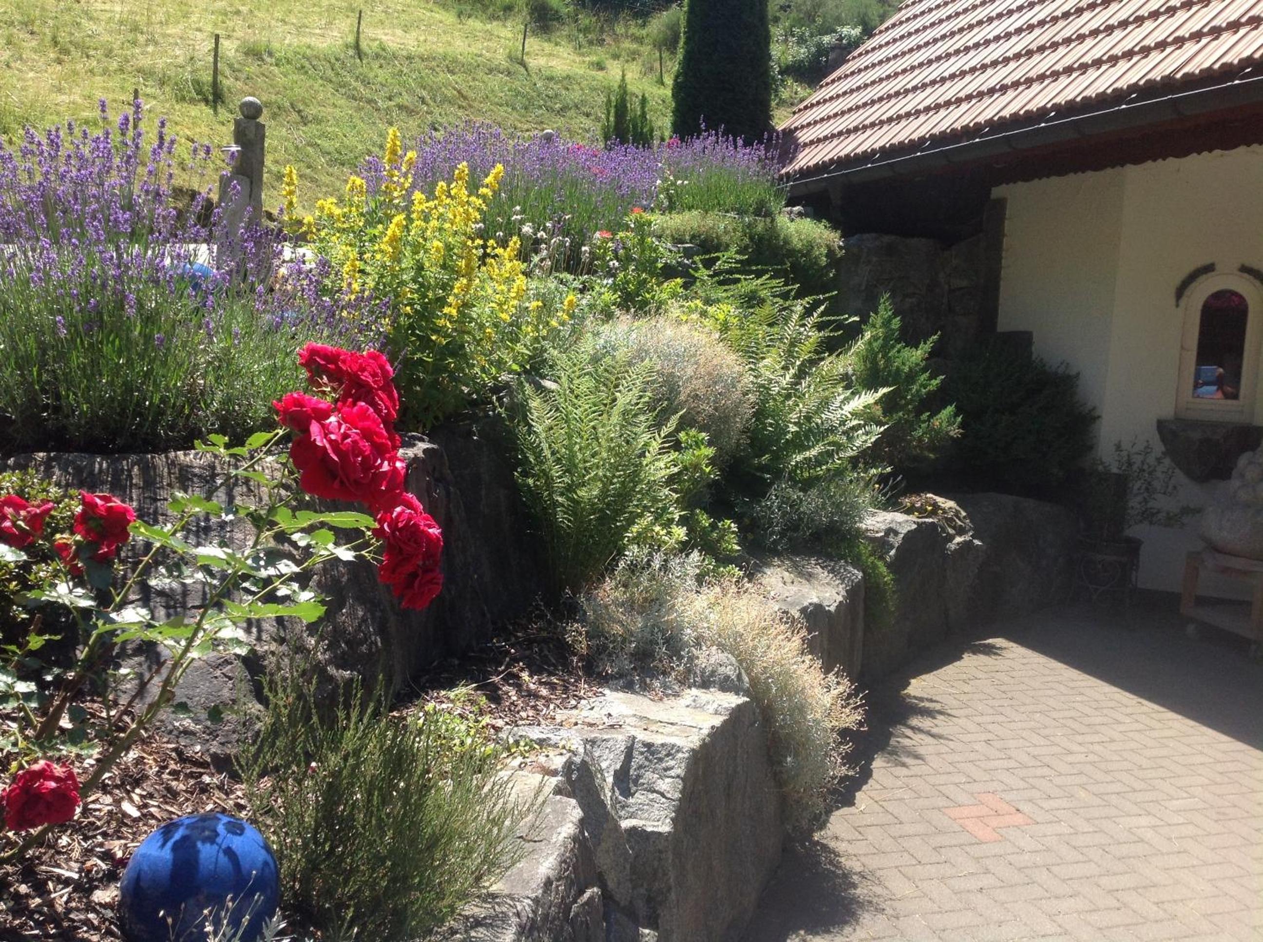 Photo 26