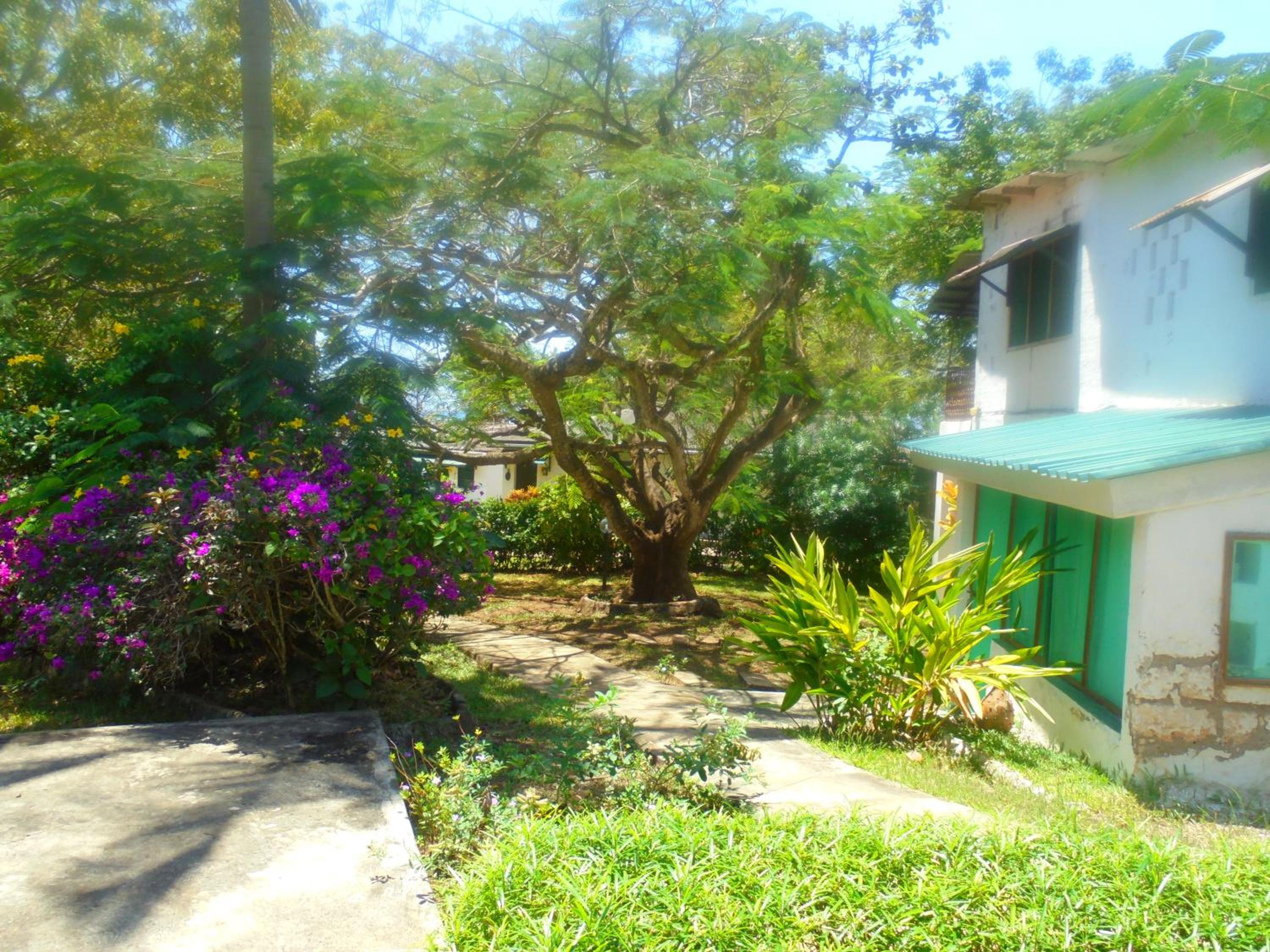 Diani Beachalets