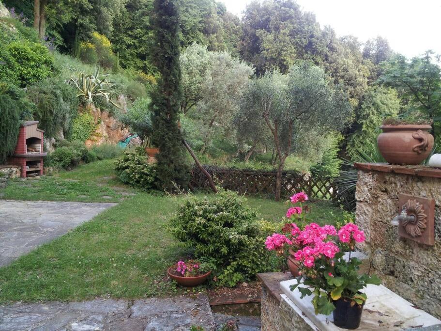 Casale Rosy Versilia
