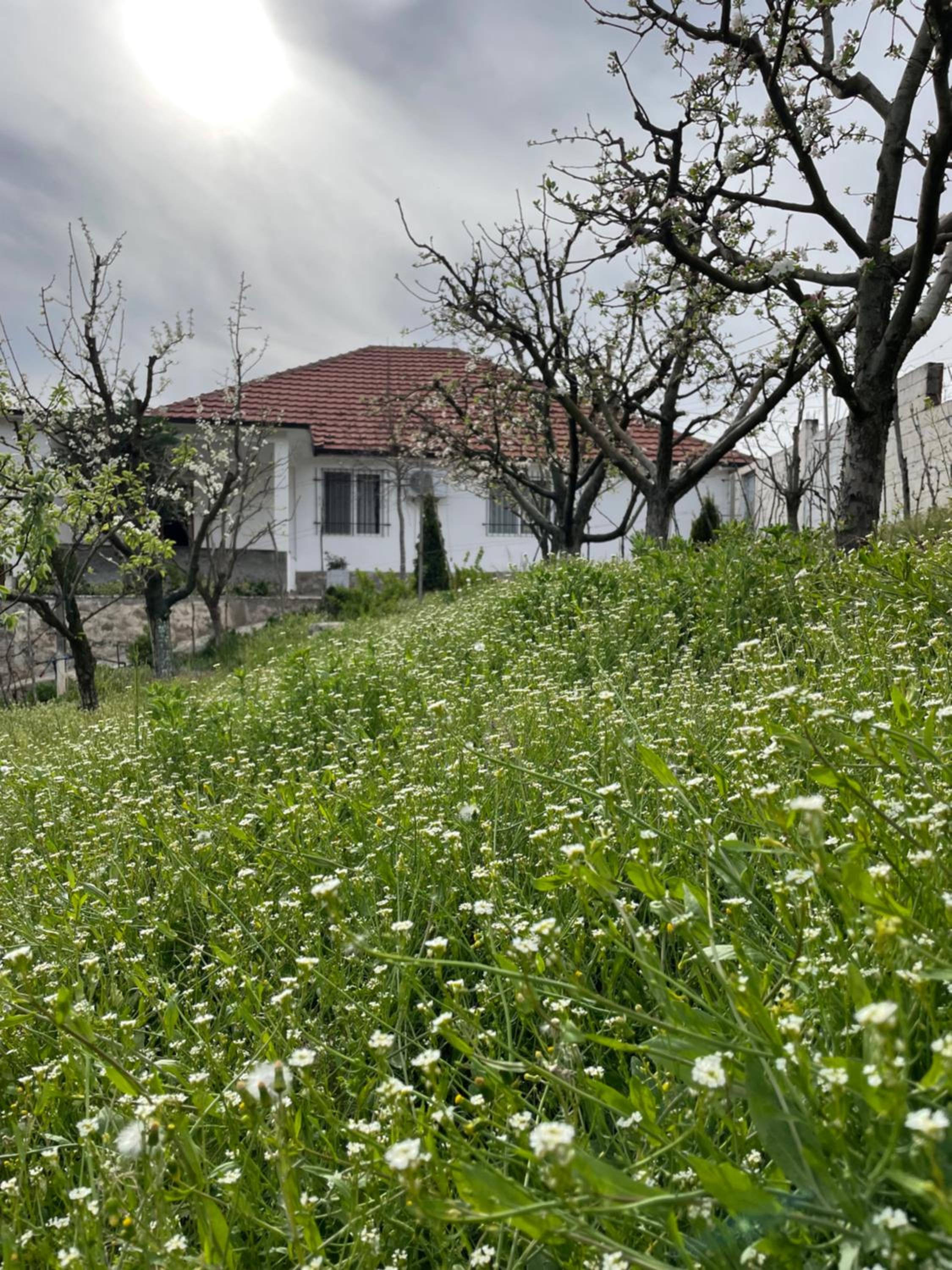 Countriside Holiday Villa
