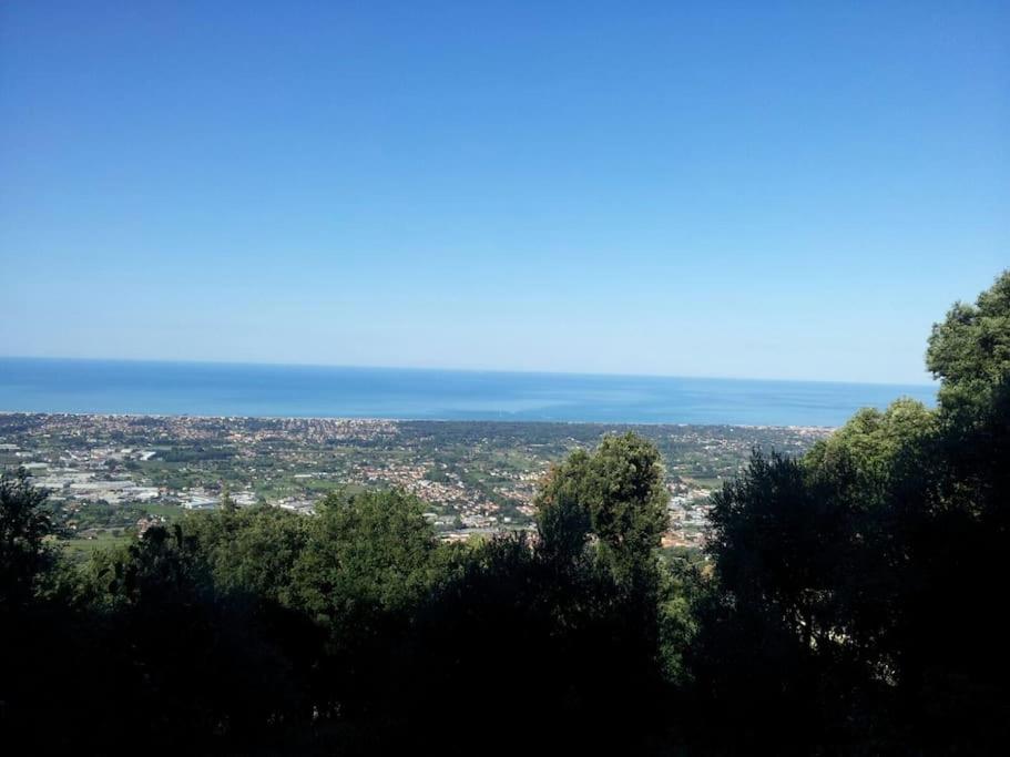 Casale Rosy Versilia