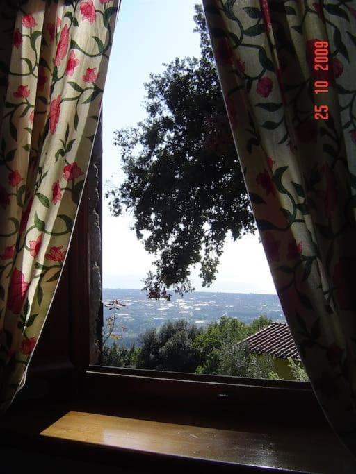 Casale Rosy Versilia
