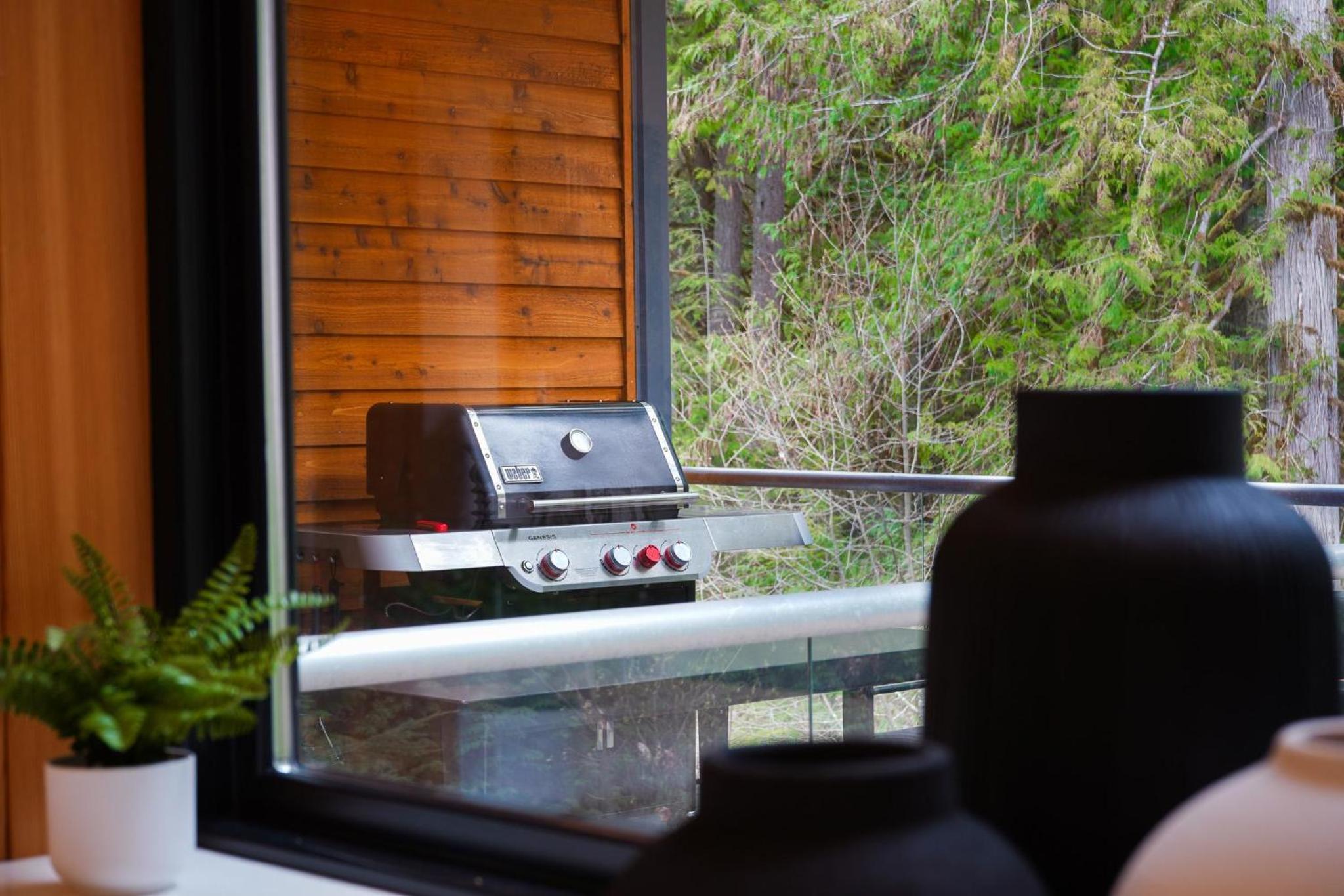 Aspire at Mount Baker