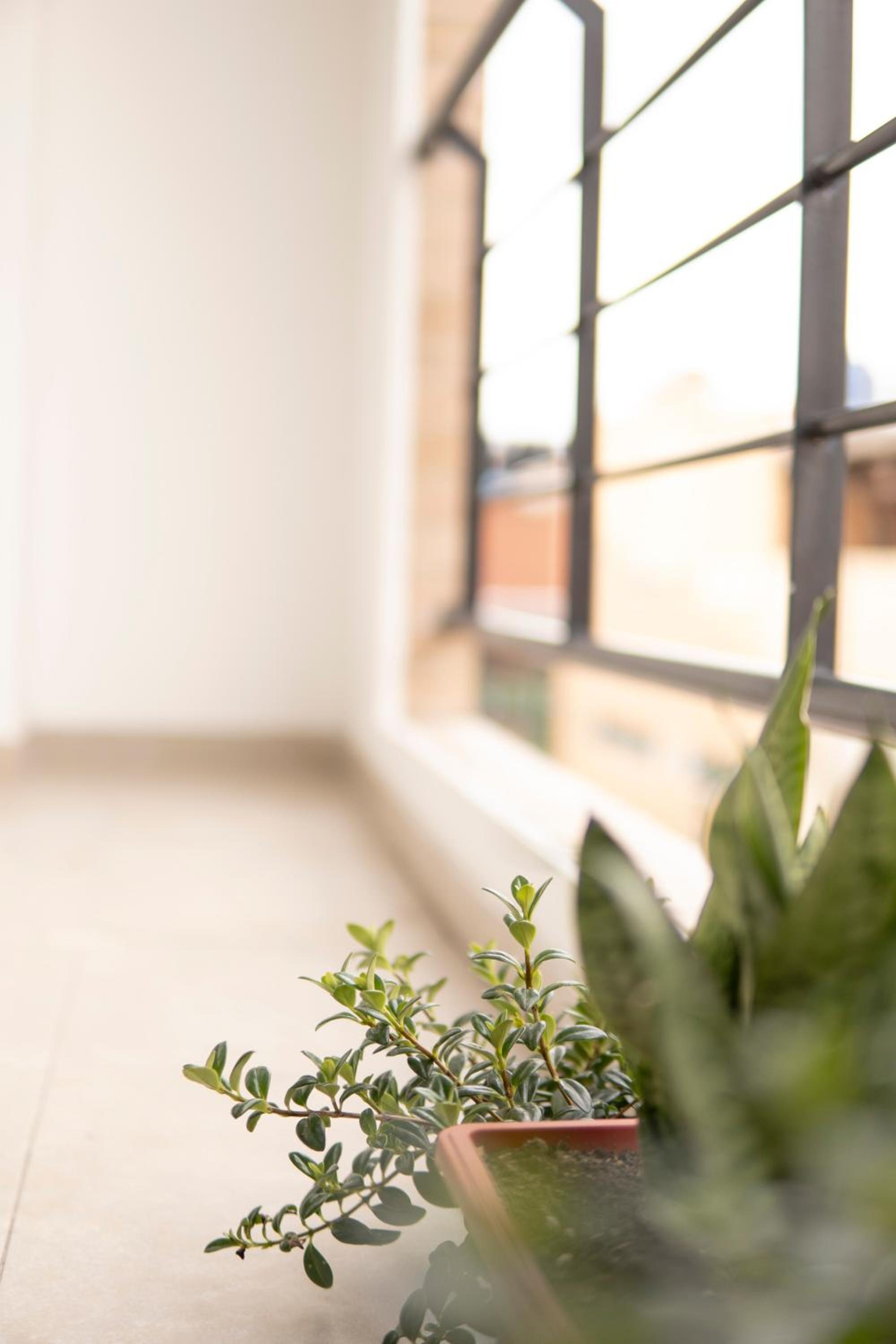 Acogedor y moderno loft cercano a zonas centrales