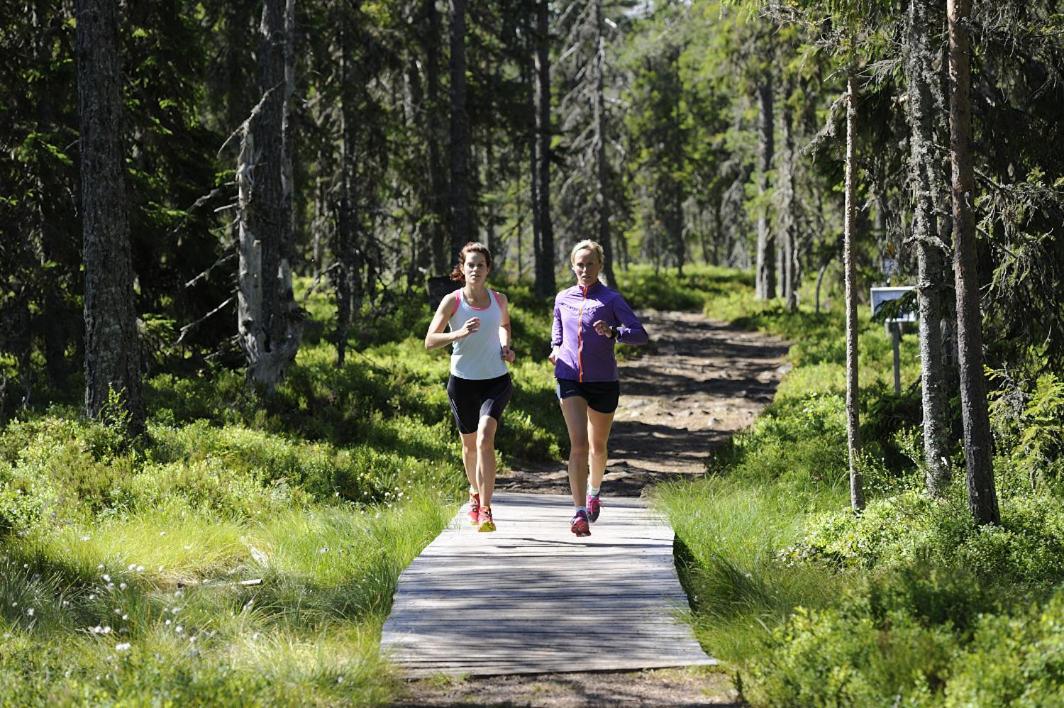 Orsa Grönklitt