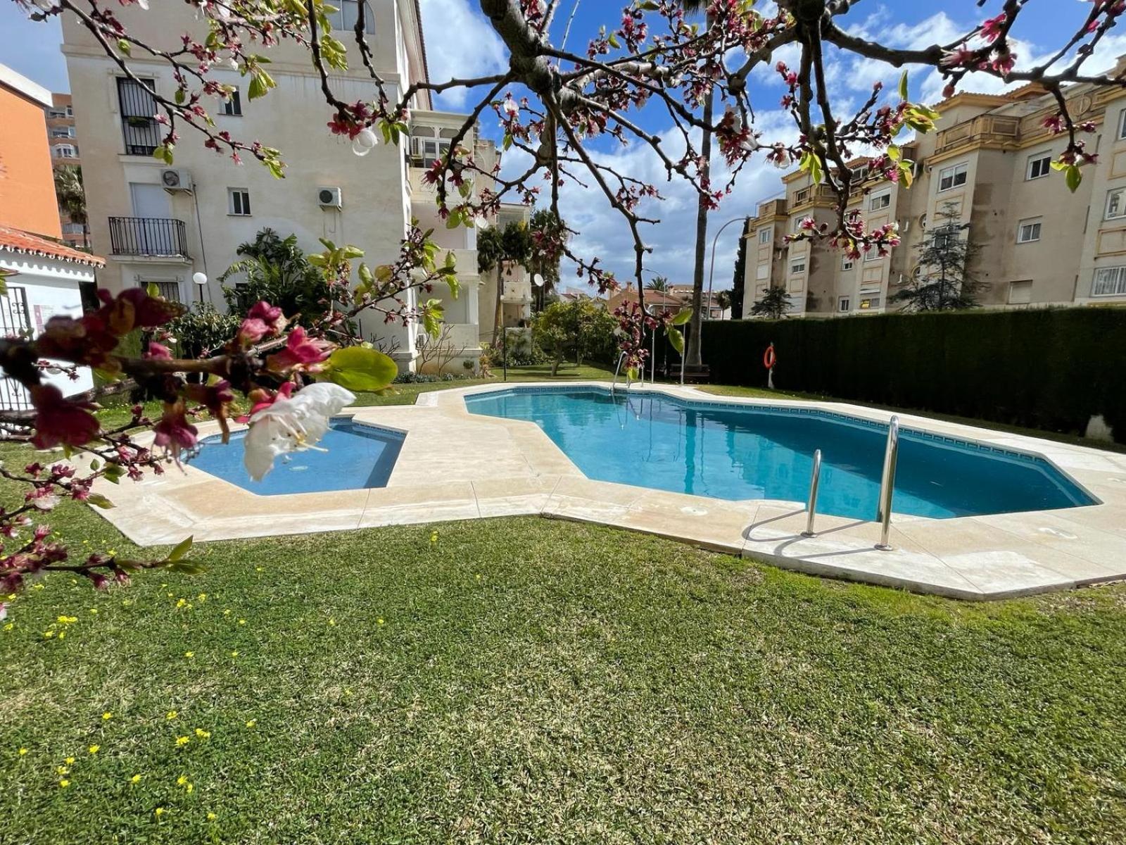 Almendros_Torremolinos