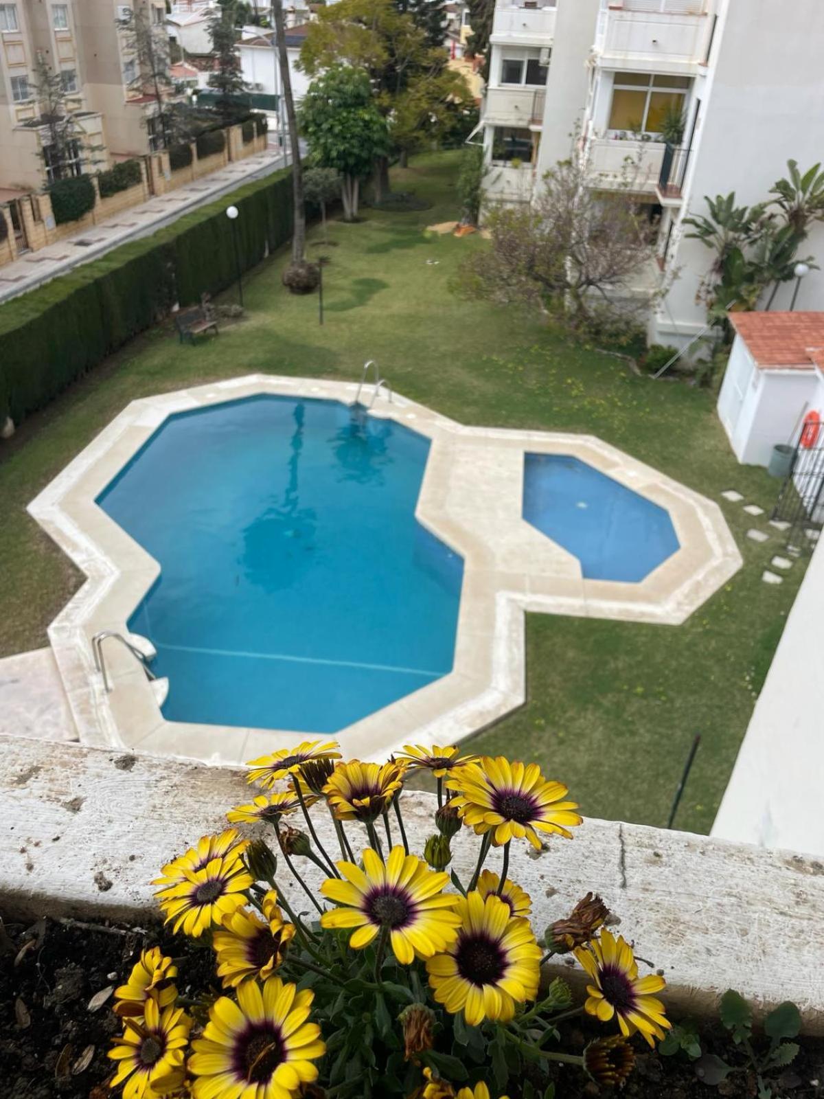 Almendros_Torremolinos