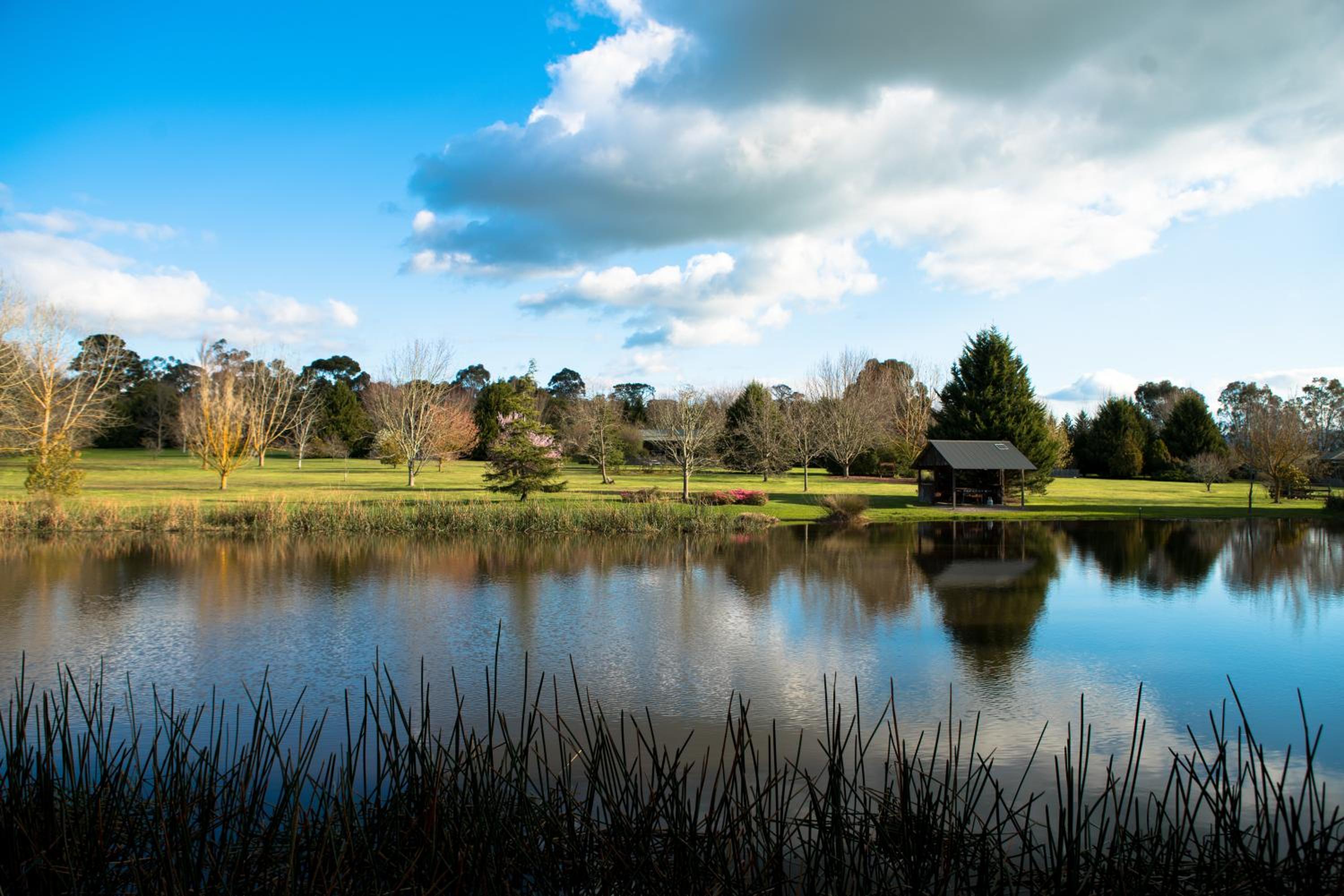 Sanctuary Park Cottages view 4