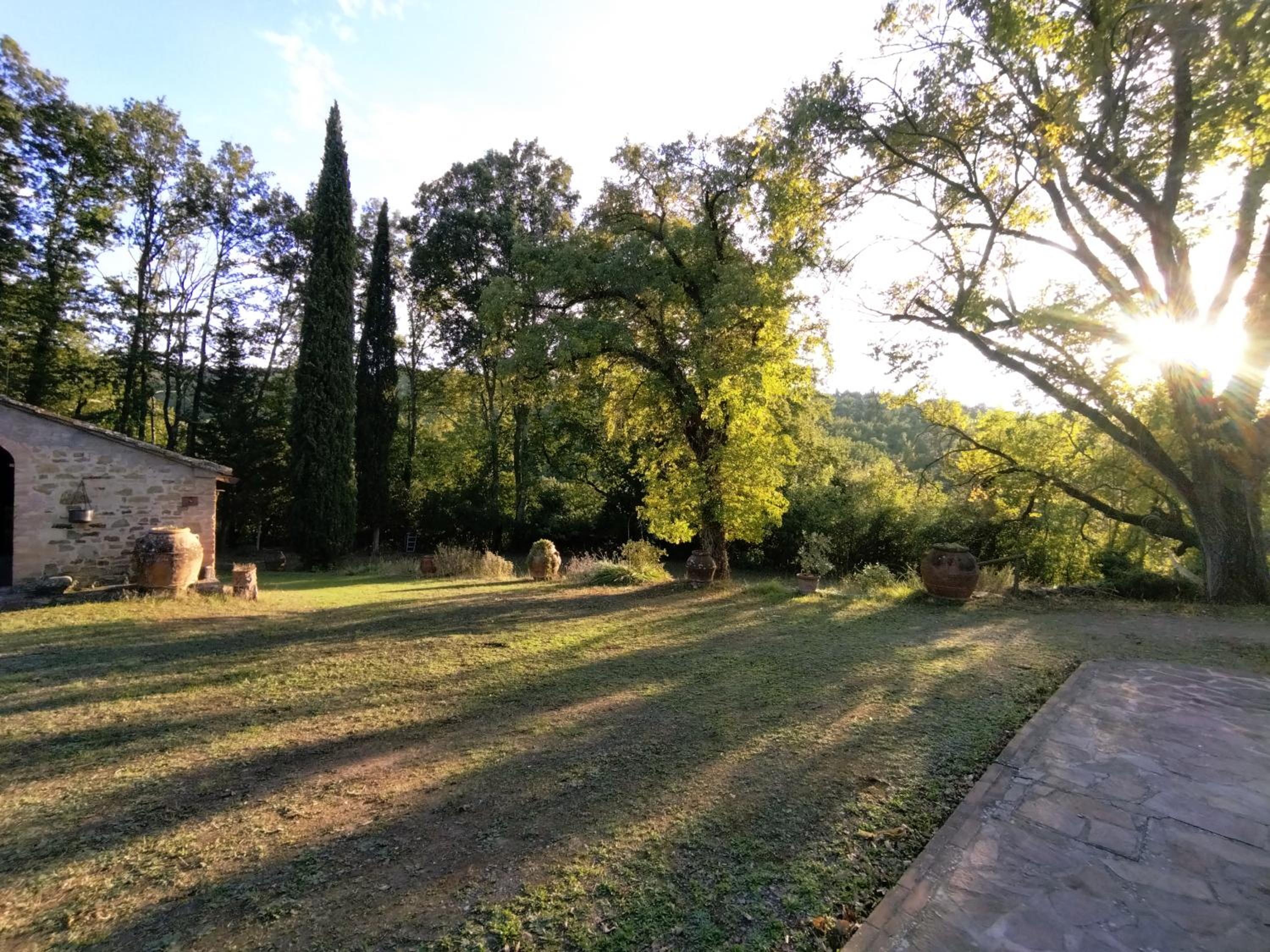 Il Bosco del Lebbio