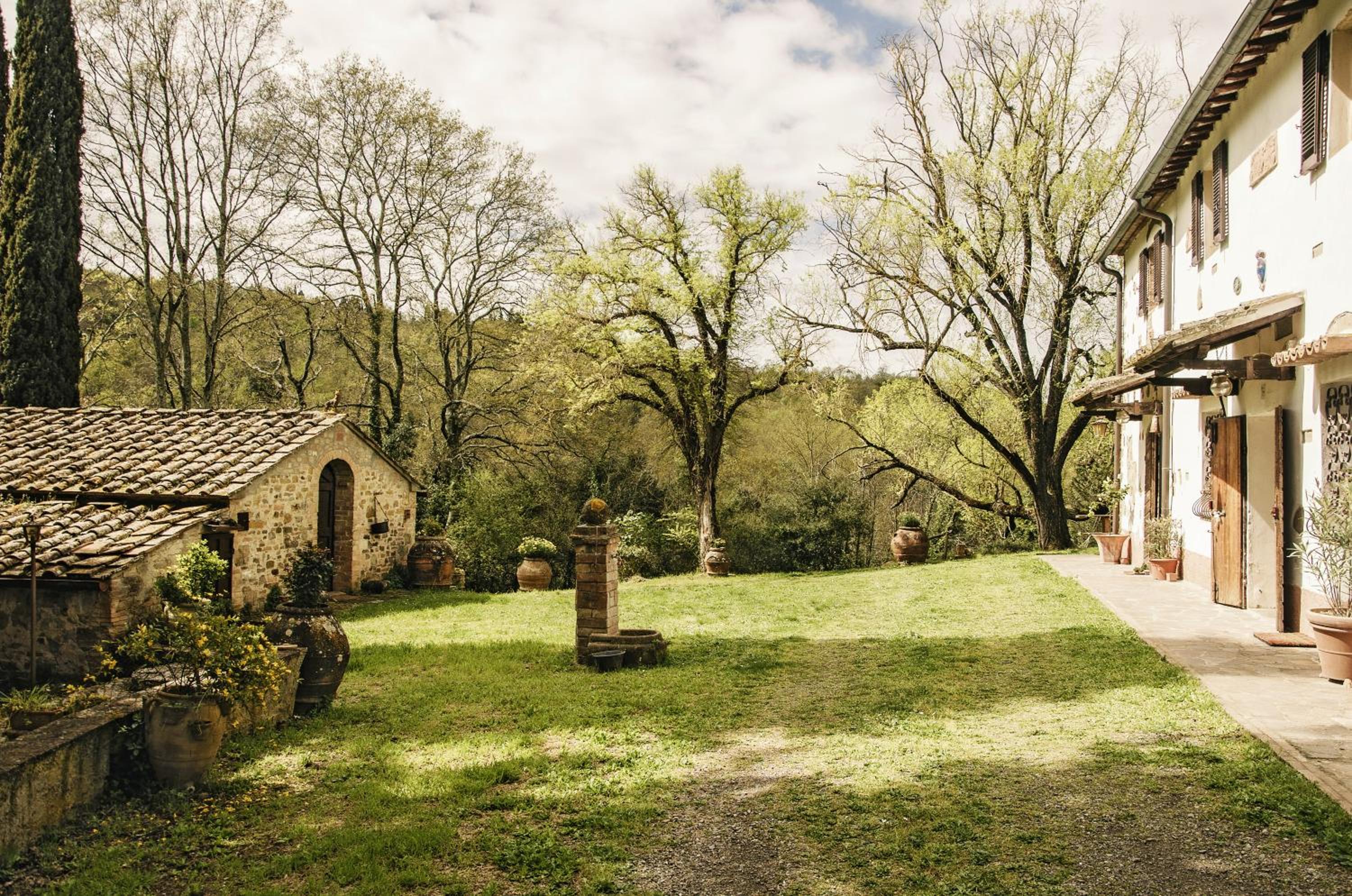 Il Bosco del Lebbio