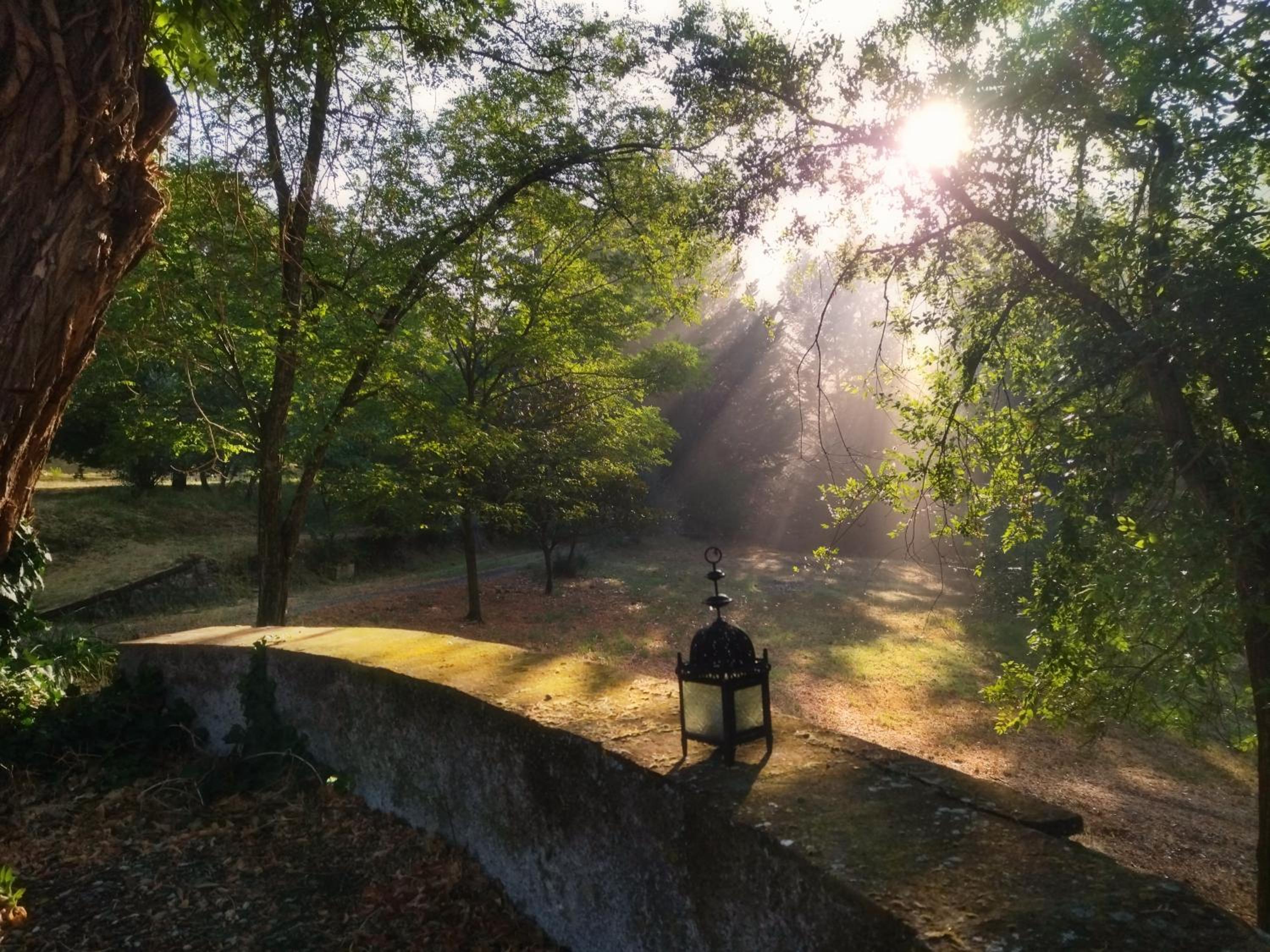 Il Bosco del Lebbio