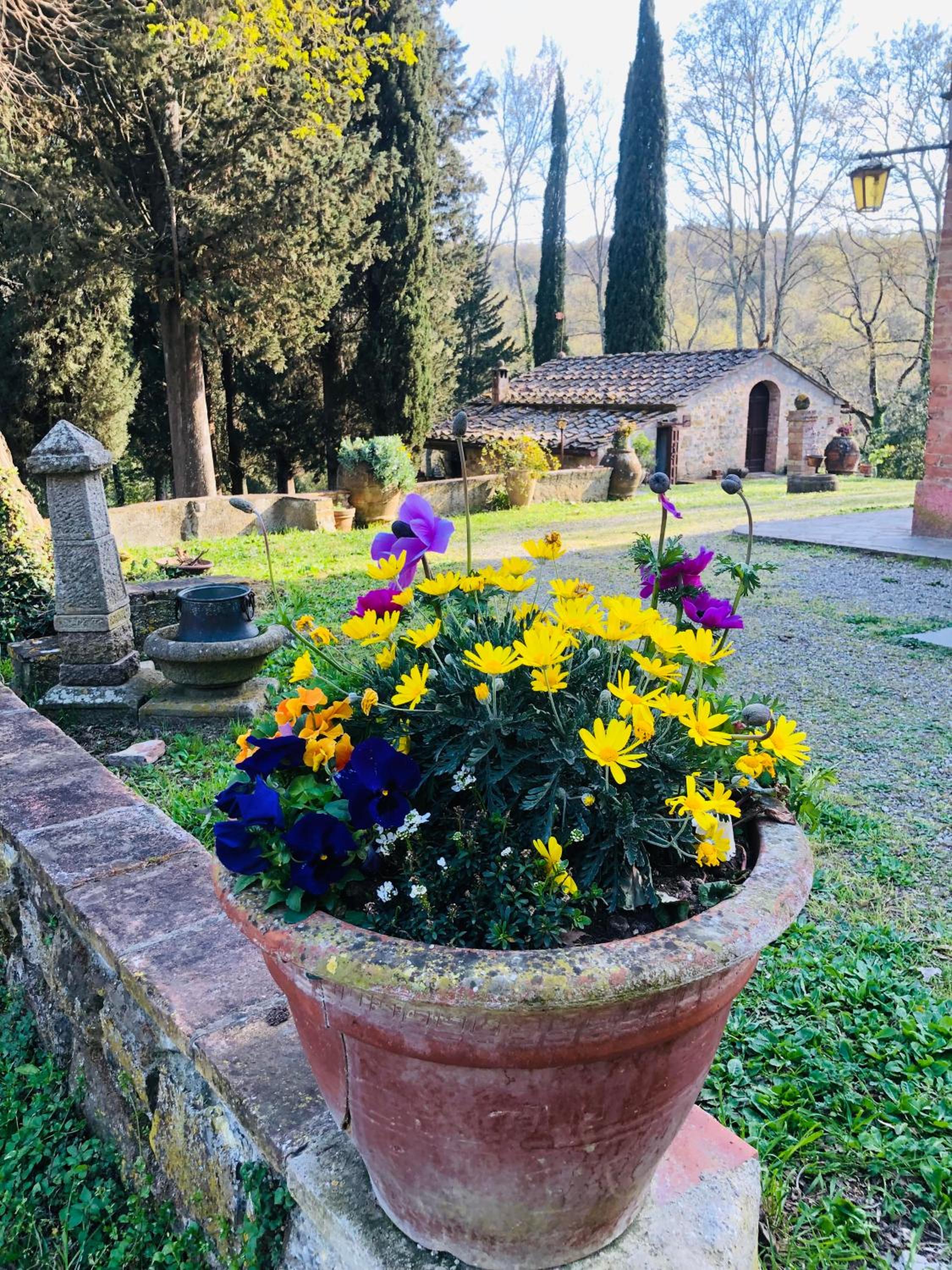 Il Bosco del Lebbio