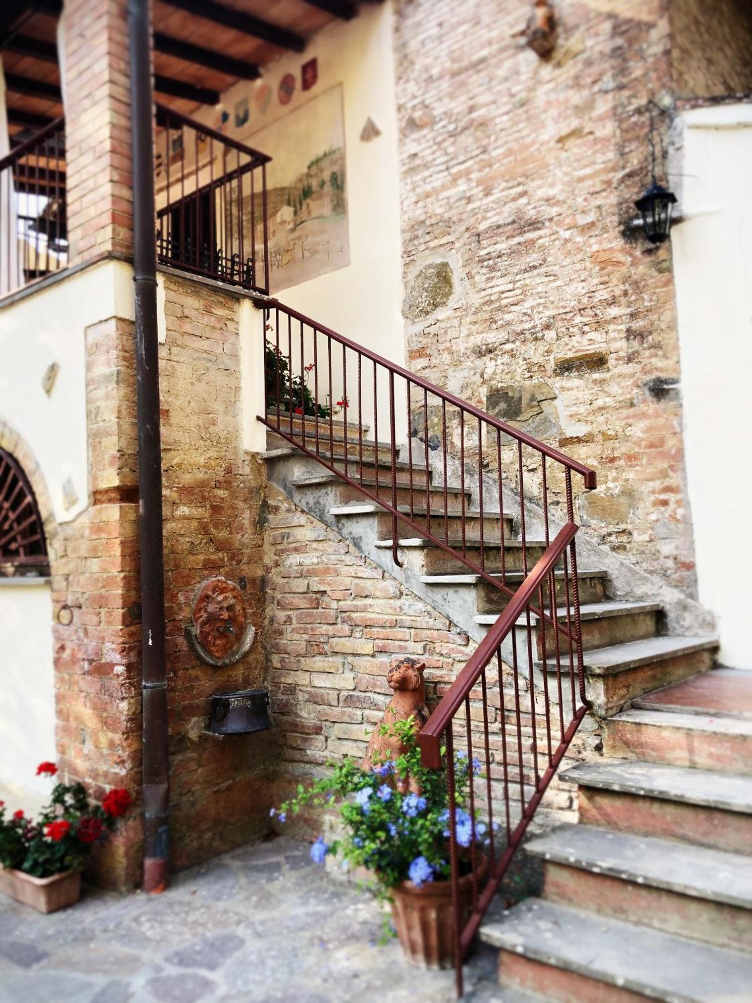 Il Bosco del Lebbio