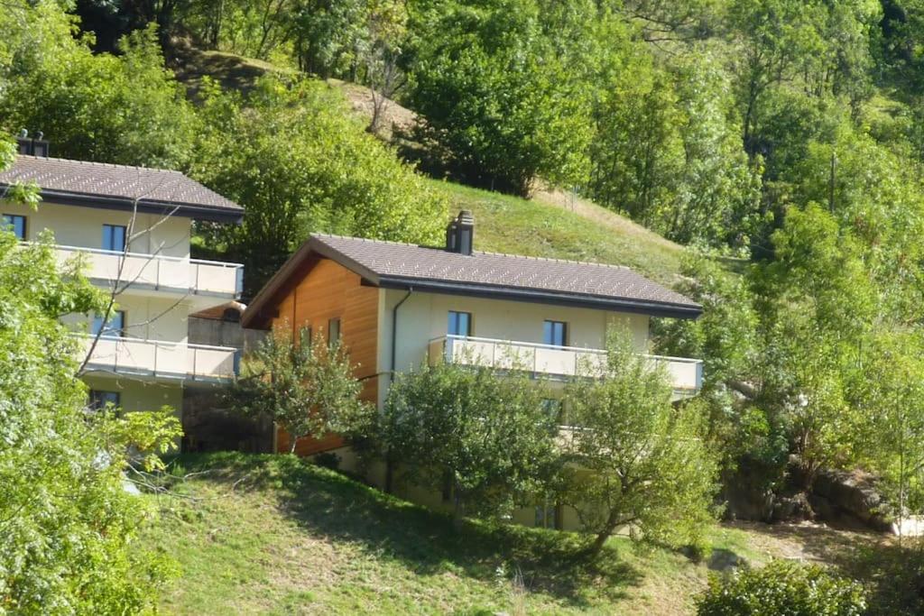 Aletsch Arena Fieschertal FeWo - 3,5 Zimmer