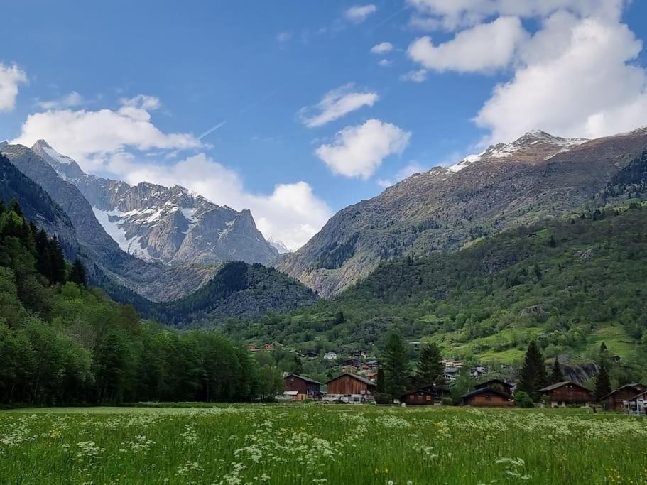Aletsch Arena Fieschertal FeWo - 3,5 Zimmer