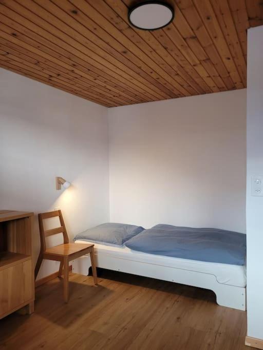 Aletsch Arena Fieschertal FeWo - 3,5 Zimmer