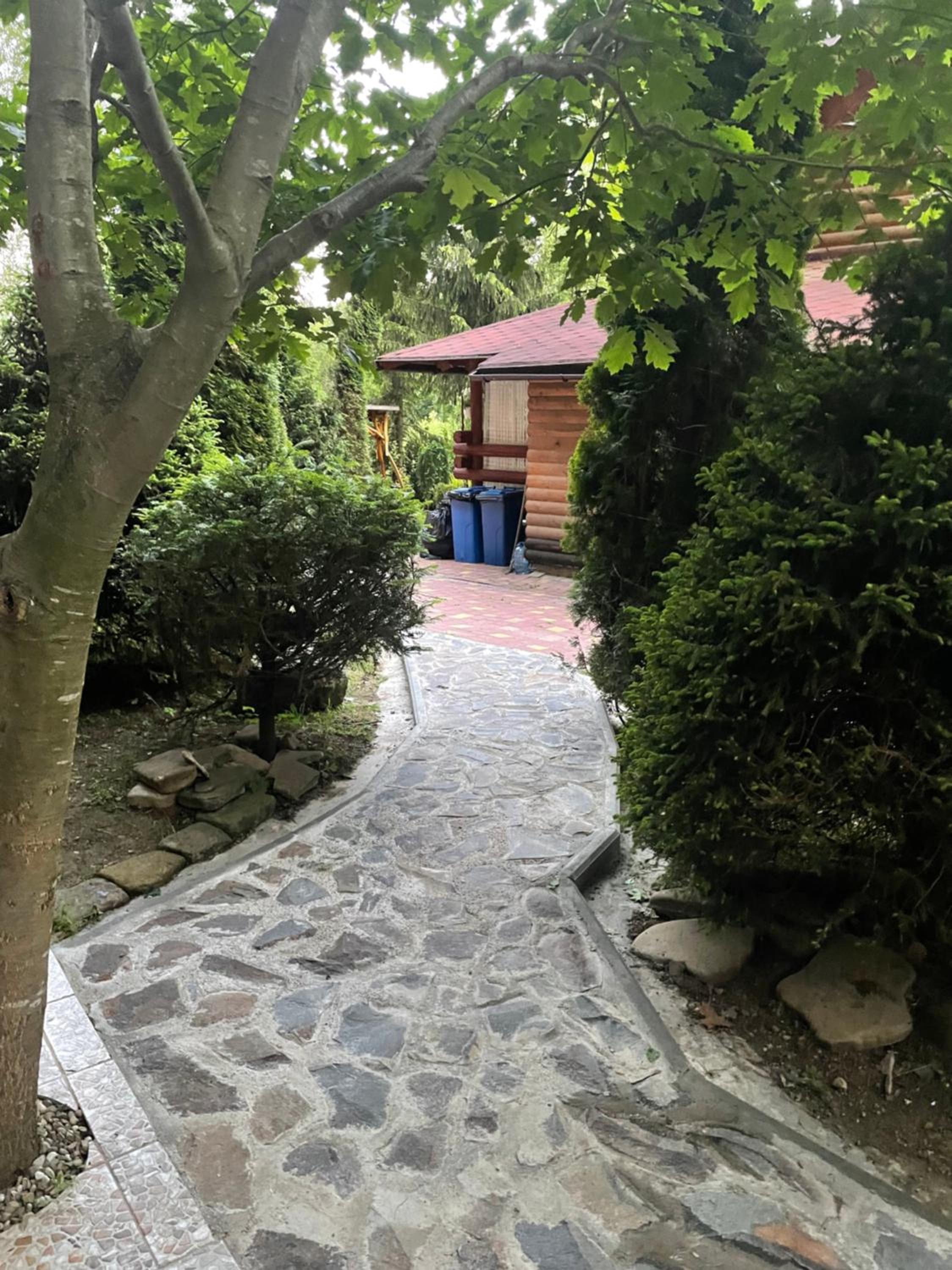 Photo 41