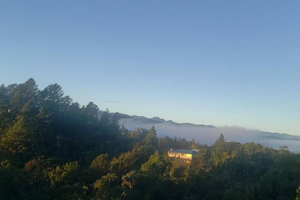 Villa Tortuga Constanza