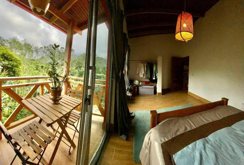 Villa Tortuga Constanza