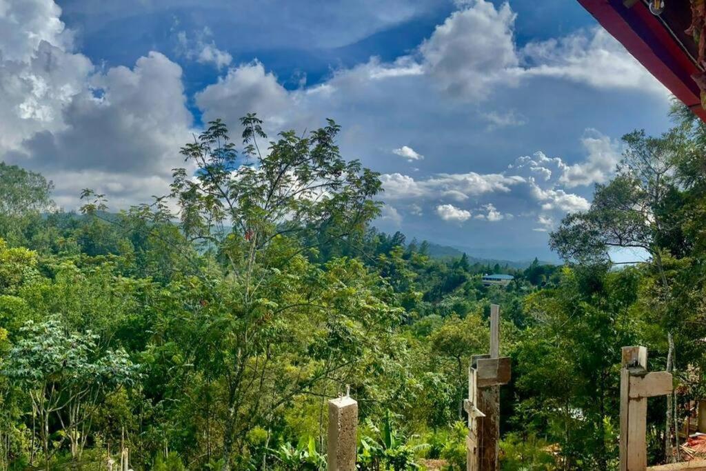 Villa Tortuga Constanza