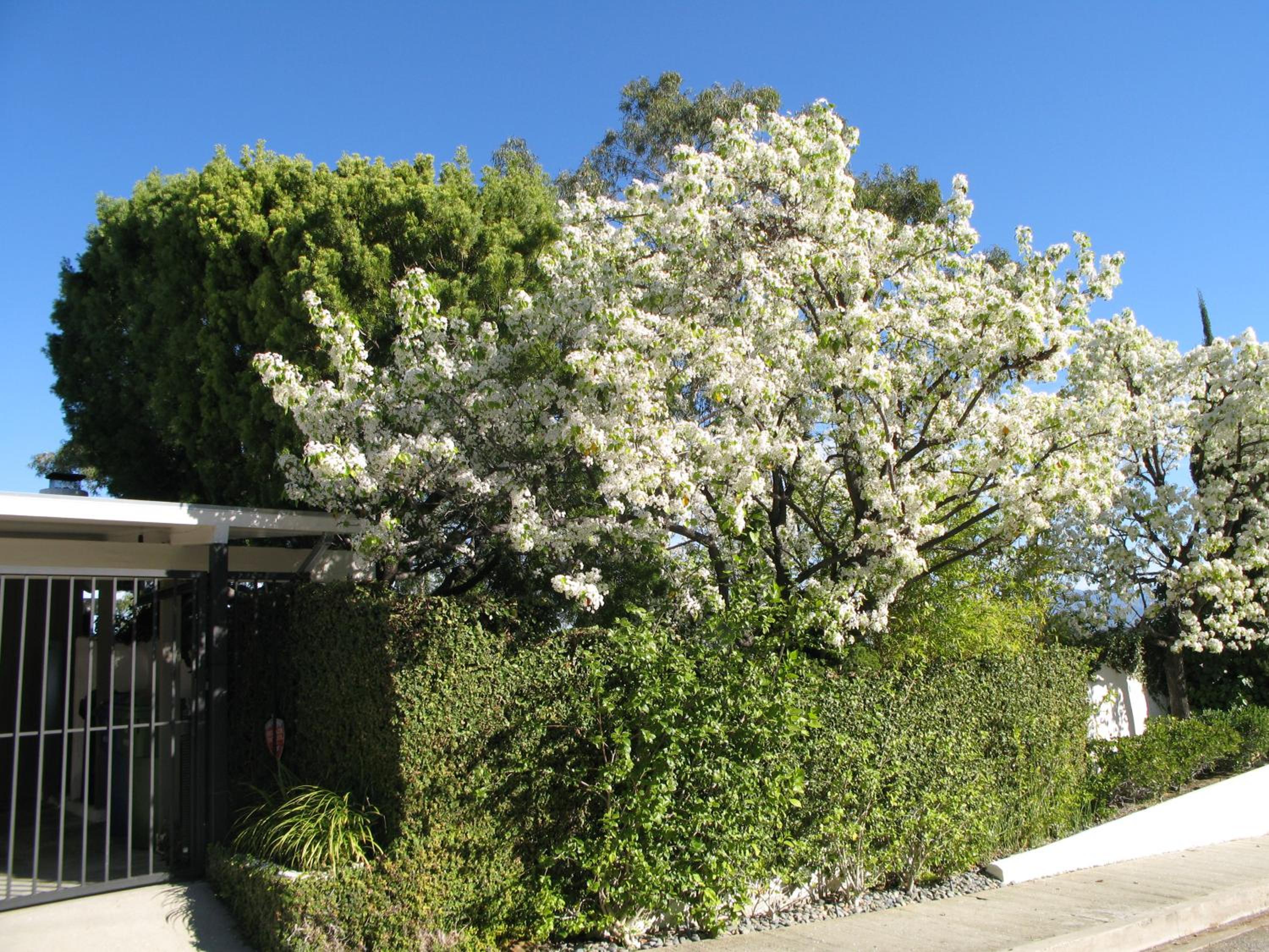 N. Bel Air GATED HOME, POOL, SPA, AMAZING VIEWS-