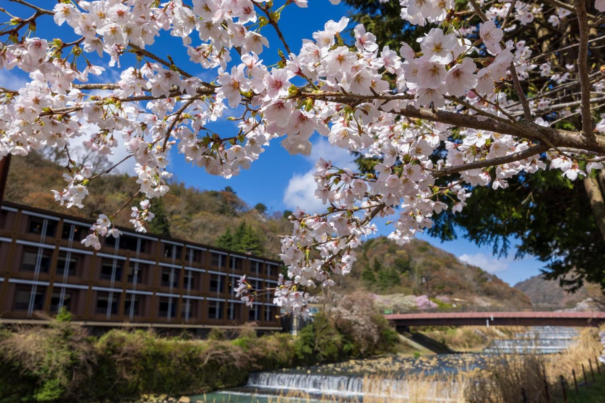 Hotel Indigo Hakone Gora by IHG 111