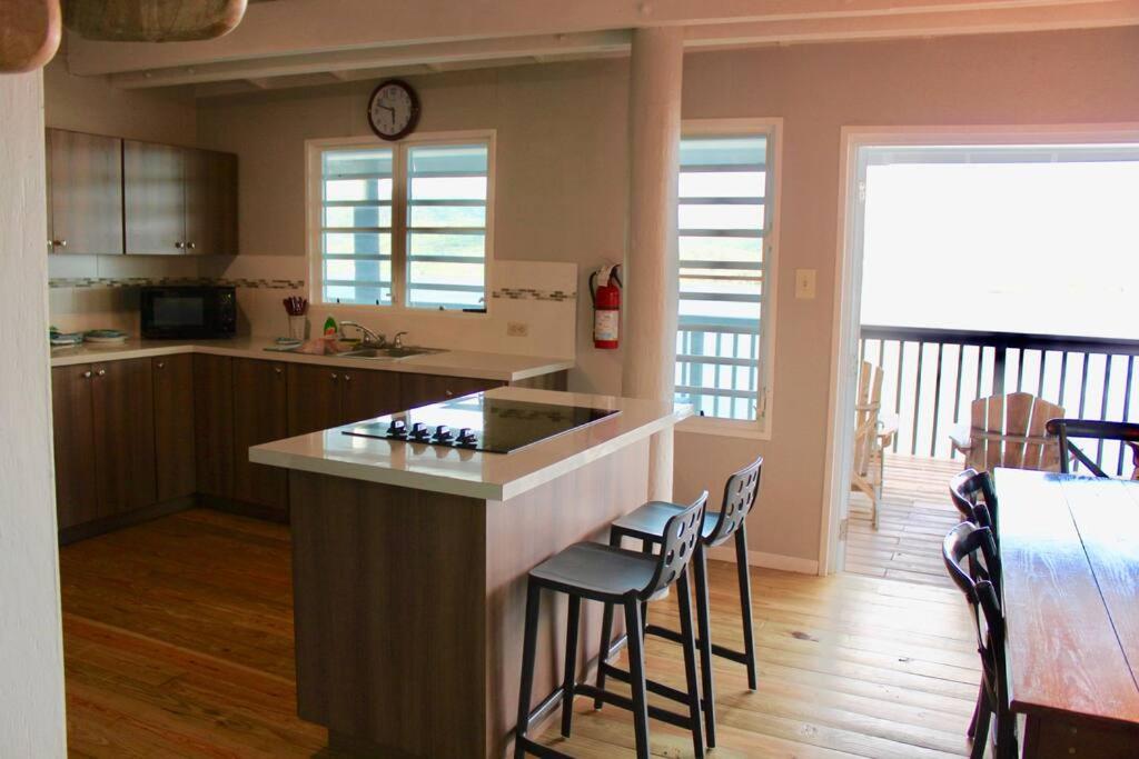 Ocean Front Villa 1 view 2