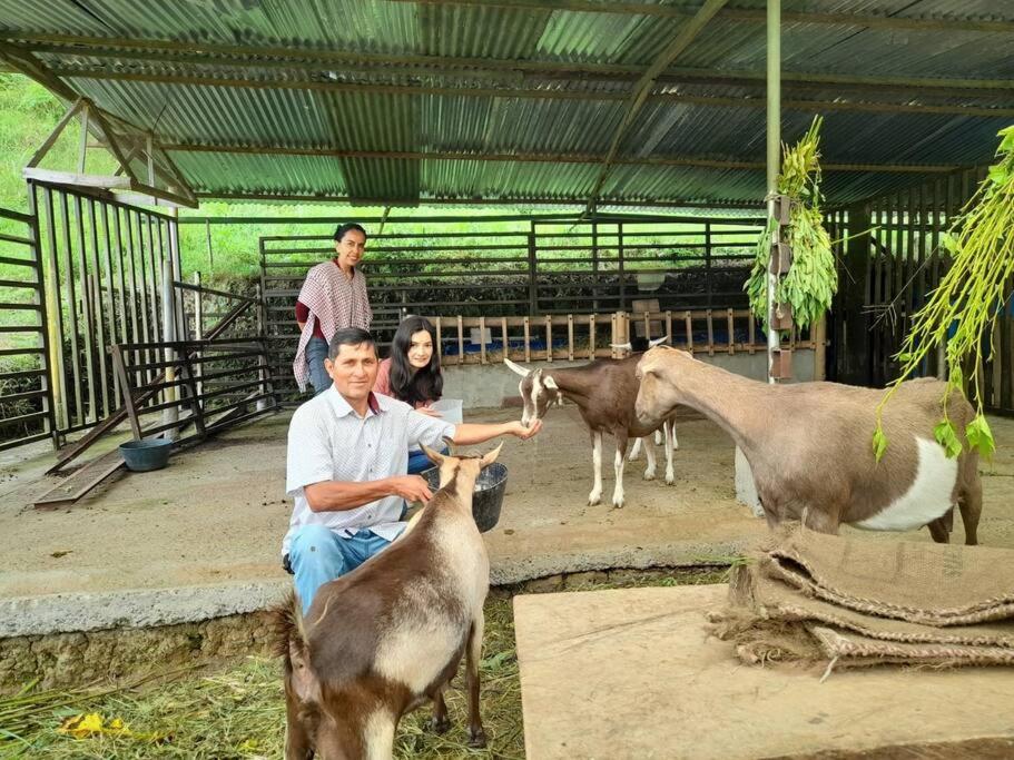 Tesorito House en las Montañas del Quindío