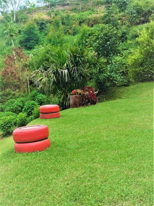 Tesorito House en las Montañas del Quindío