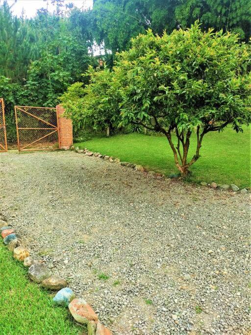 Tesorito House en las Montañas del Quindío