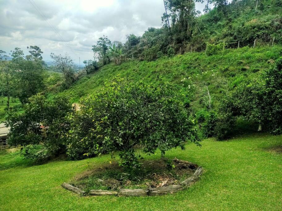 Tesorito House en las Montañas del Quindío
