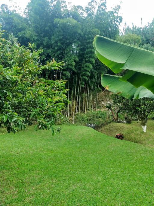Tesorito House en las Montañas del Quindío