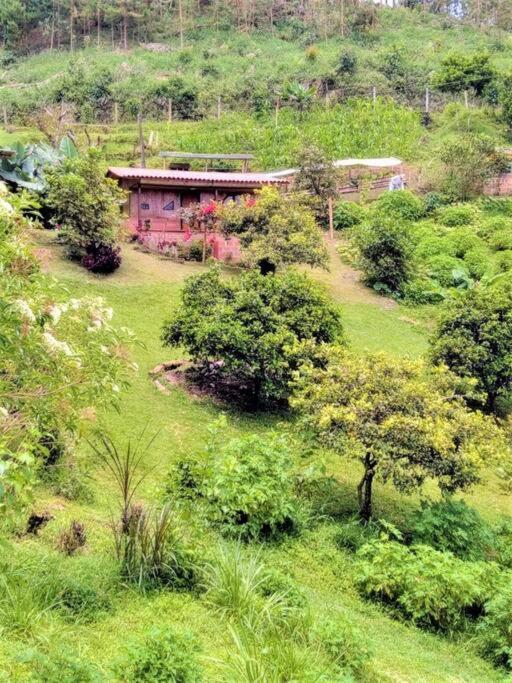 Tesorito House en las Montañas del Quindío