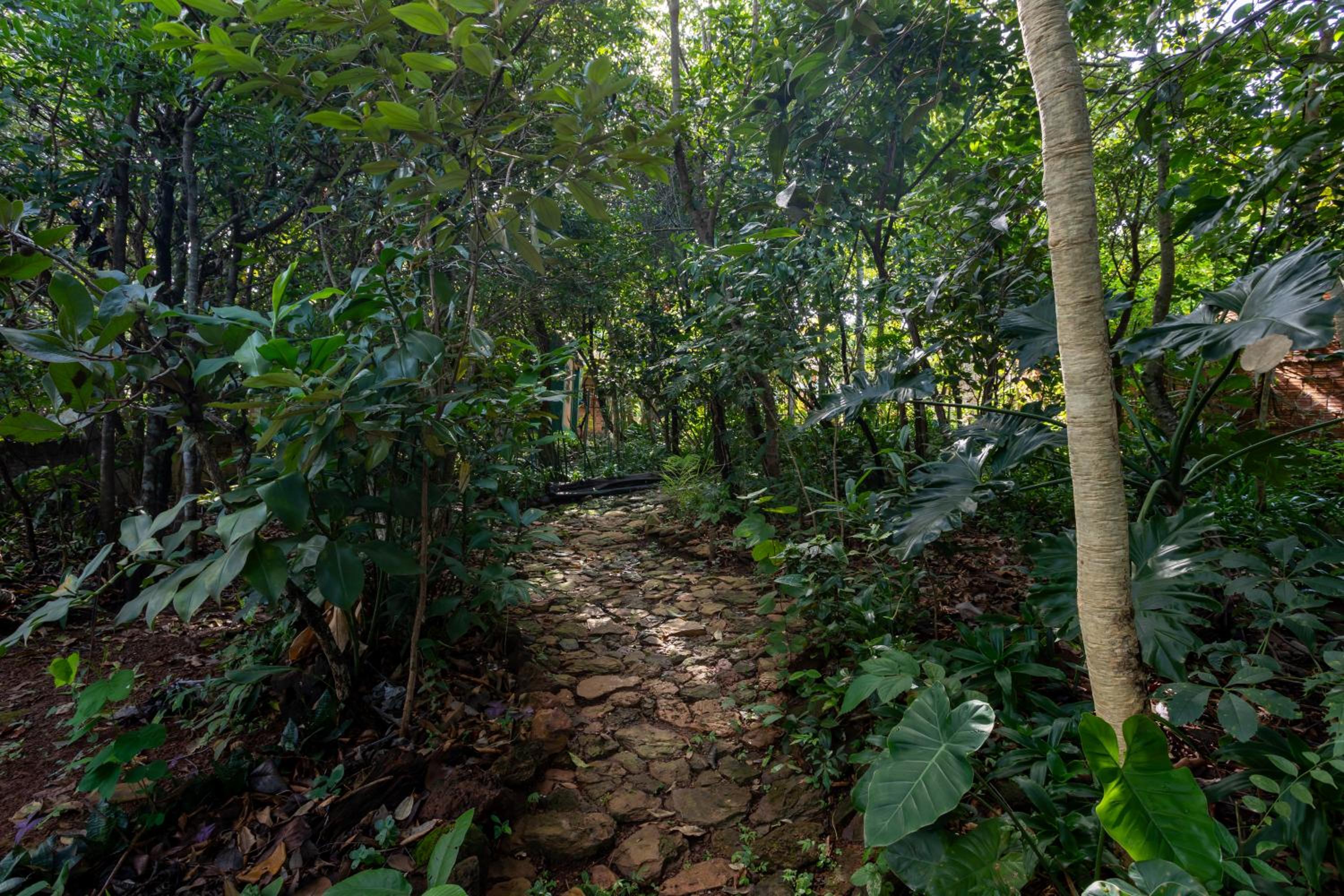 Espaço Aricá