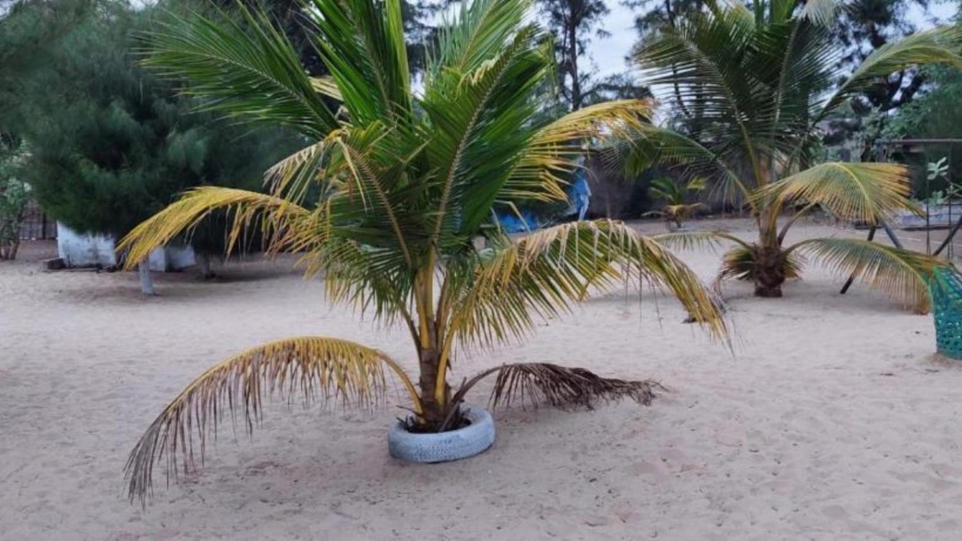 MANGROVE BEACH
