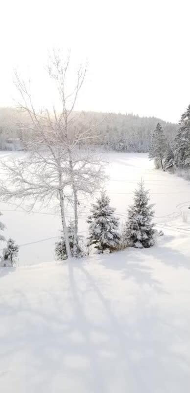 Magnifique chalet au bord du lac avec Spa
