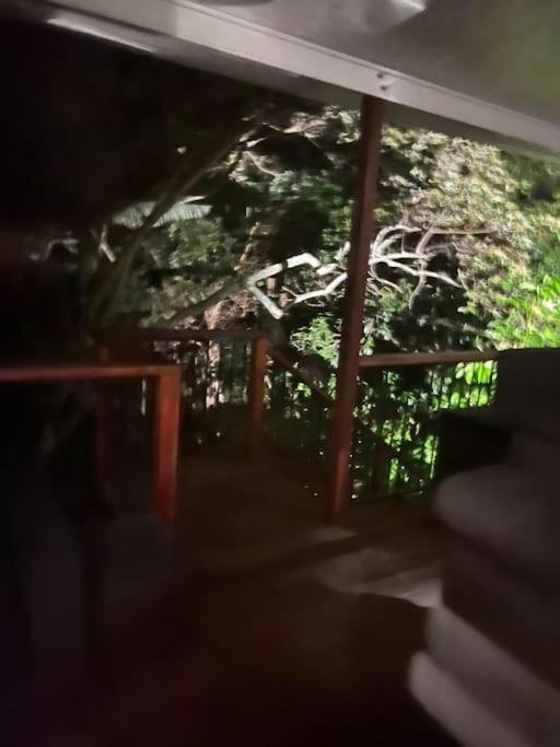 Forrest Cabin meets Treehouse