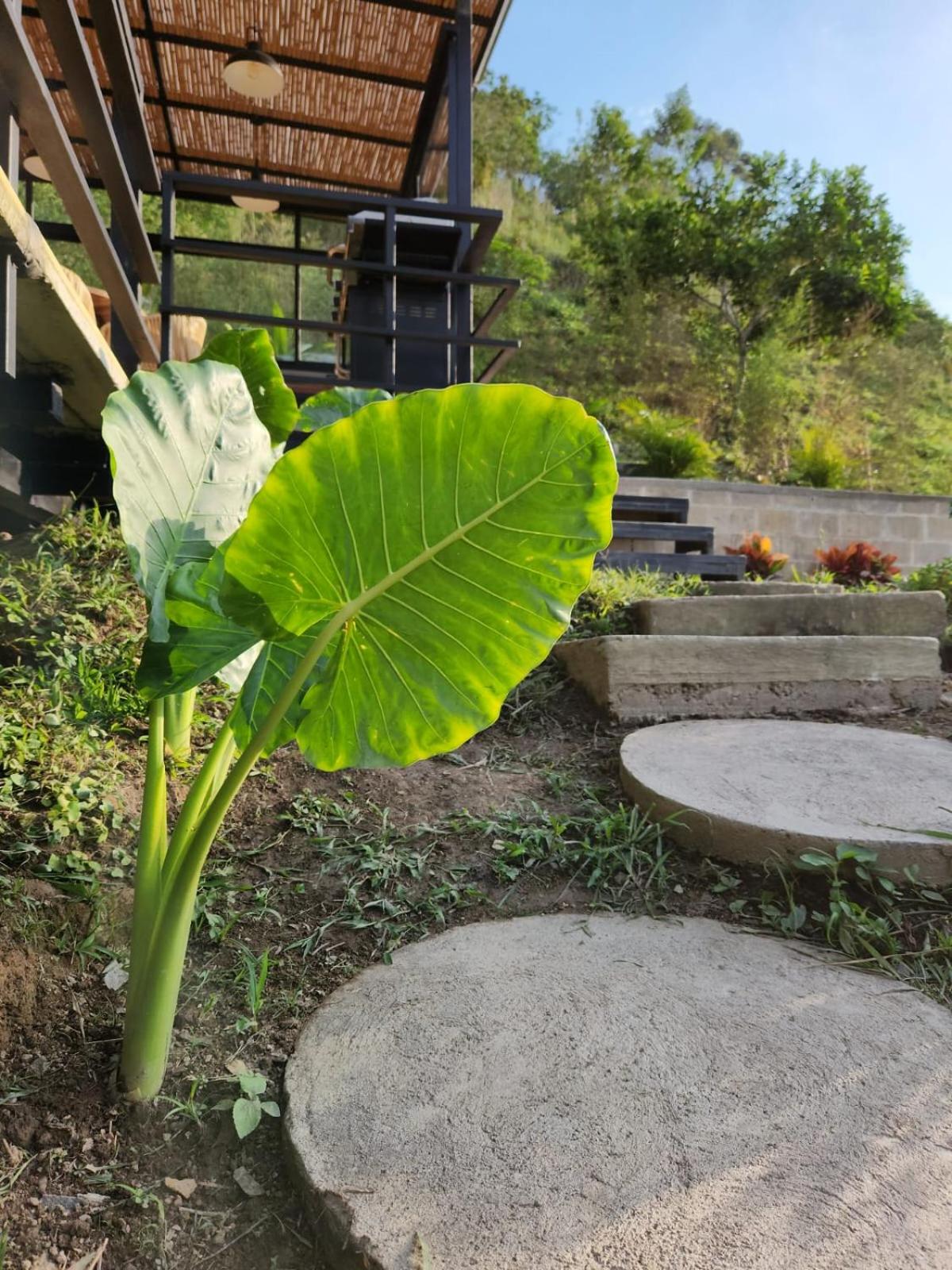 Ketana Eco Hotel
