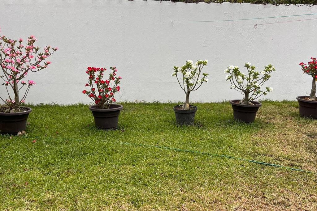 Casa completa con todo incluido view 3