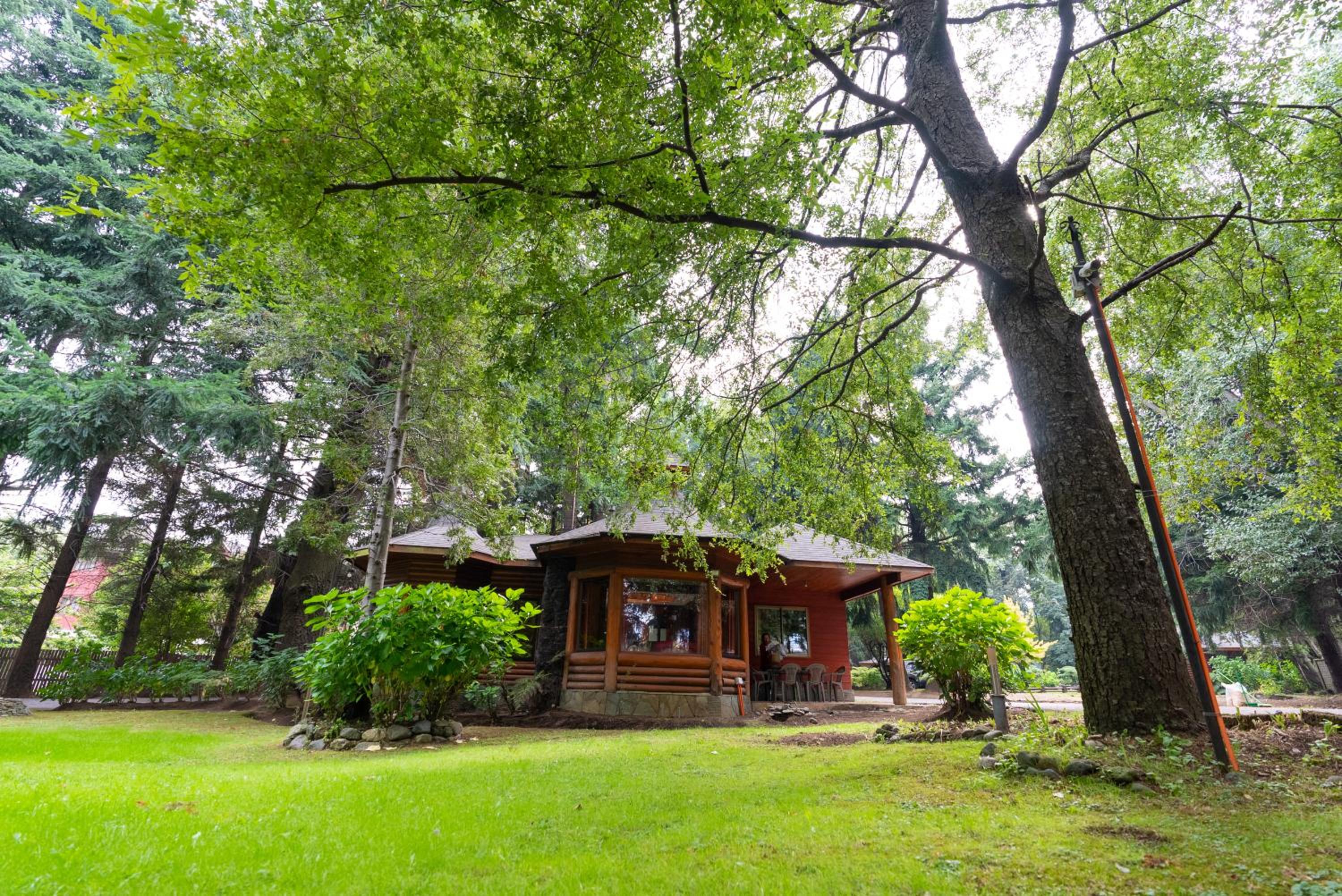 Cabañas el Dorado Pucón
