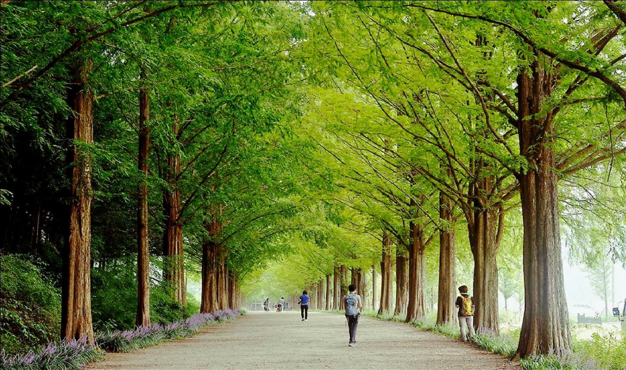 Garden Pension