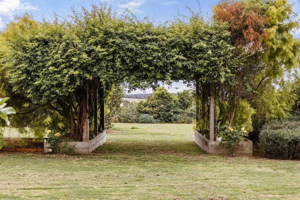 Vineyard Lane - Winery Escape