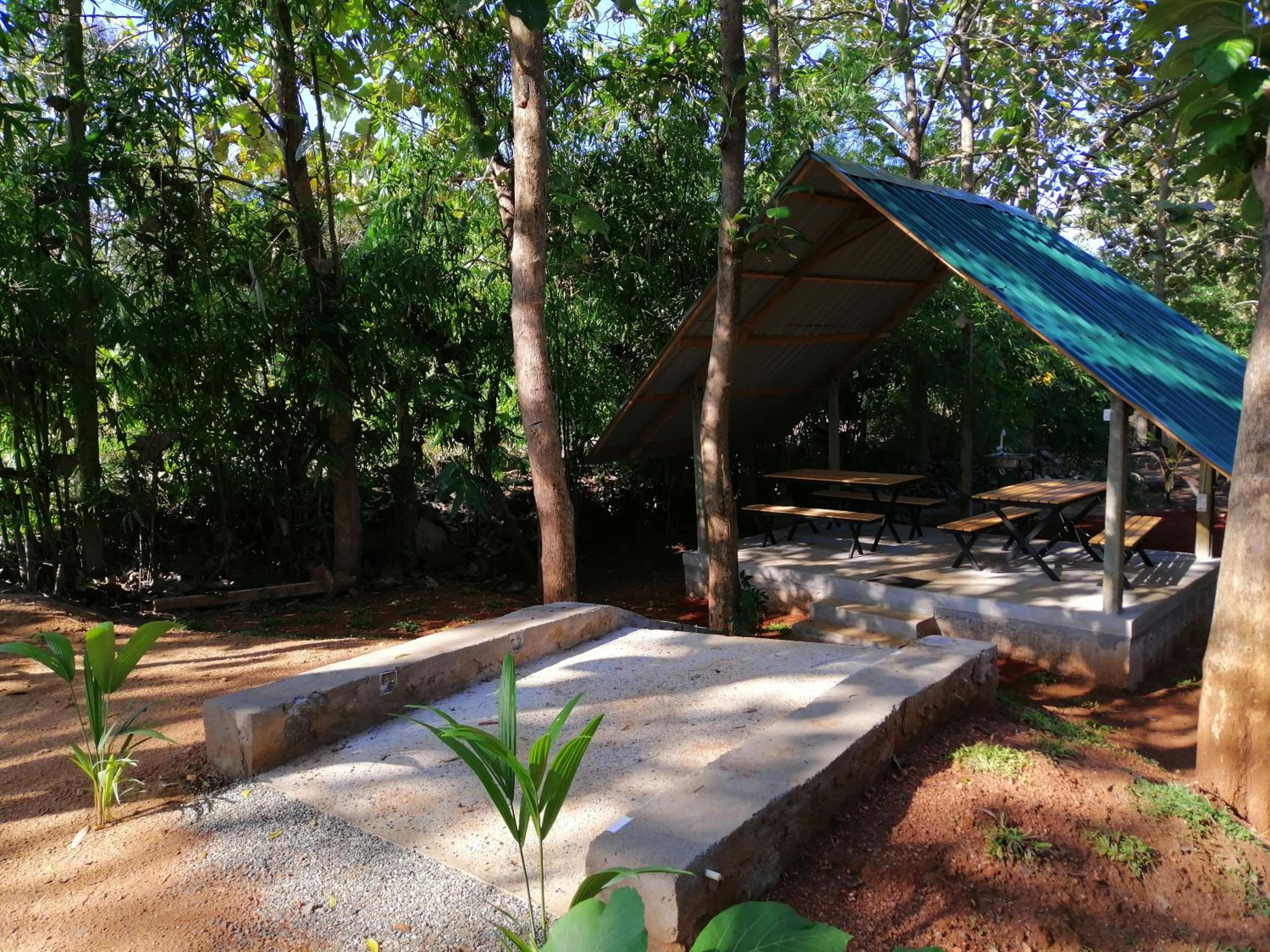 Malwathu Oya Forest Garden view 4