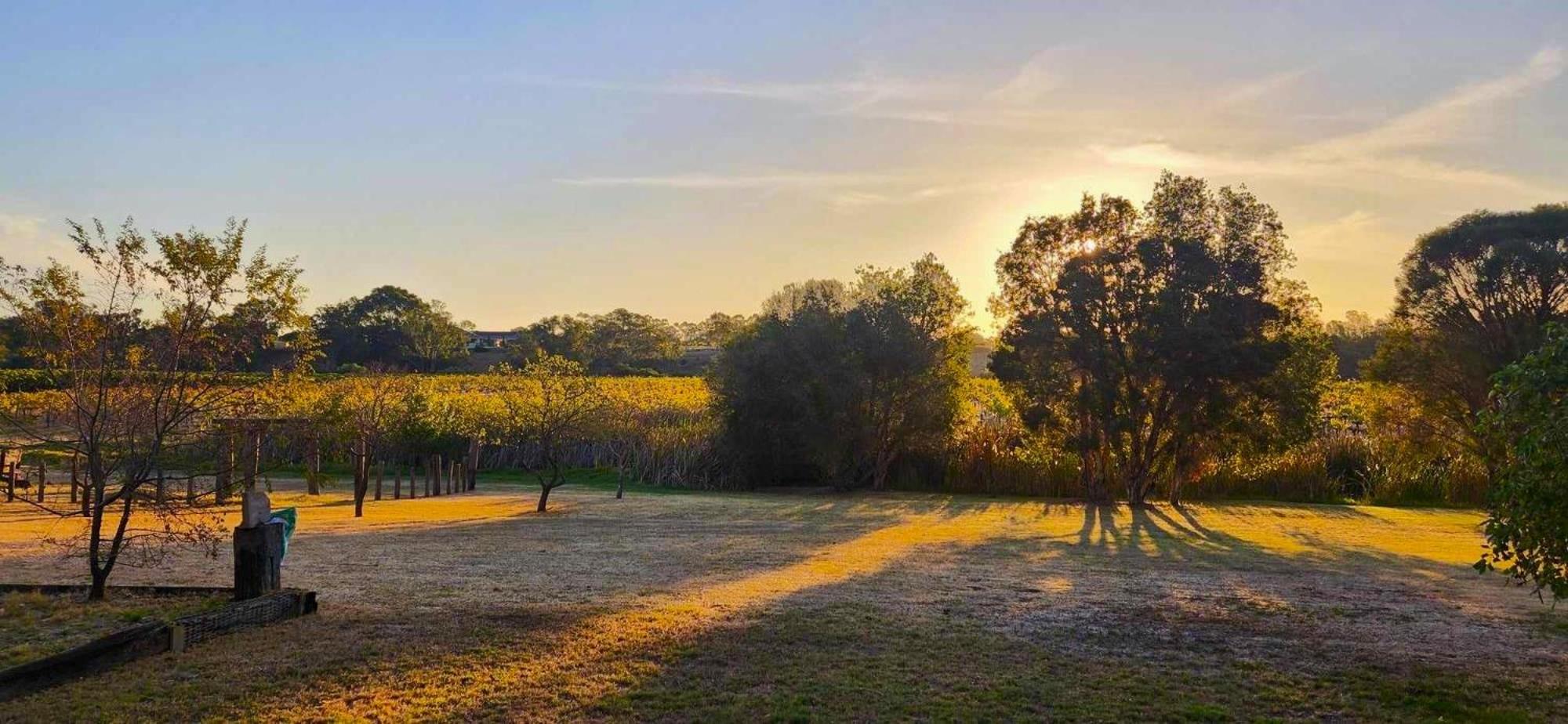 Barrett Lane Homestead