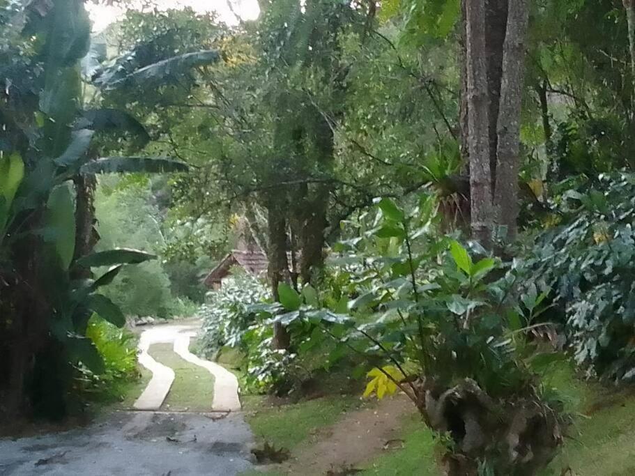 Chalé das Bromelias