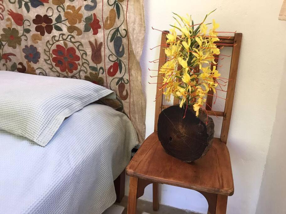 Chalé das Bromelias